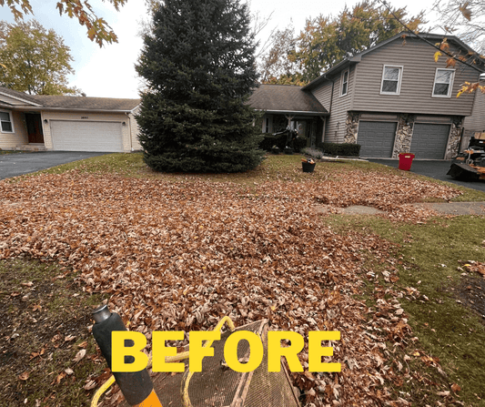 Fall cleanup